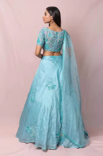 Blue Amelia Satin Organza Skirt Set