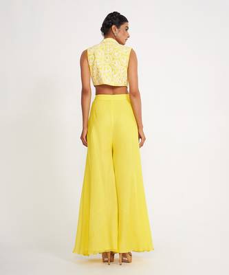 Clara Lemon Sharara Set With Embroidered 4