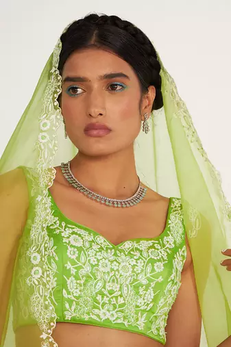 Rylee Parrot Green Lehenga Set With Embroidered