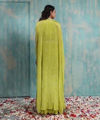 Parrot Green Lehenga Set 4