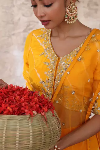 Aadrika Lehenga Set
