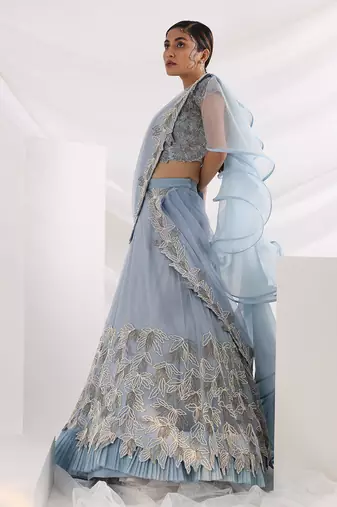 Trail In The Sky Lehenga Set