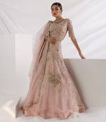 Starlight Lehenga Set