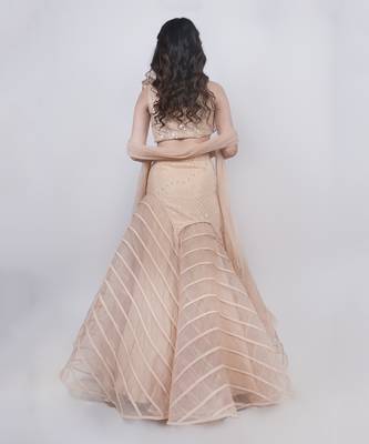 Champange Fishcut Lehenga 3
