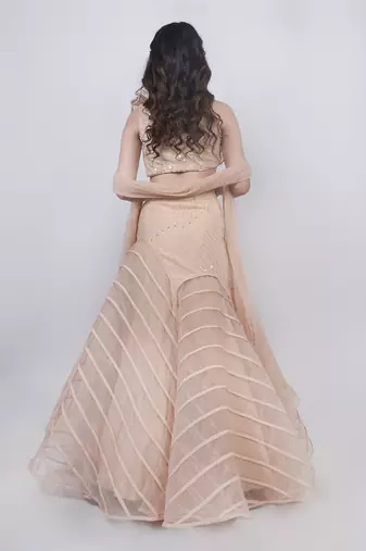 Champange Fishcut Lehenga