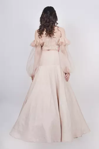 Champange Fishcut Lehenga