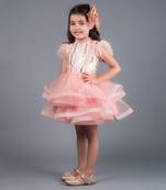 Pink Angelica Sequins Feather Dress