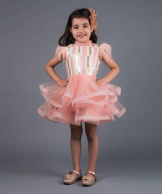 Pink Angelica Sequins Feather Dress 2