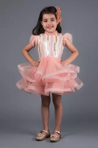 Pink Angelica Sequins Feather Dress