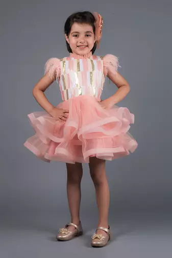 Pink Angelica Sequins Feather Dress