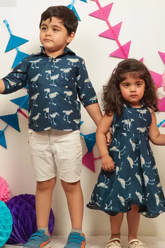 Indigo Blue Frock