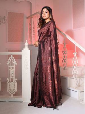 Dark Chocolate Silk Matka Handwoven Saree With Texture Designs 3