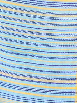 Sky Blue Cotton Handspun Handwoven Saree With Stripes Pattern 5