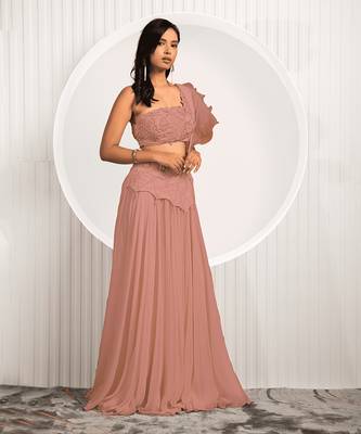 Peach Willow Lehenga Set 1