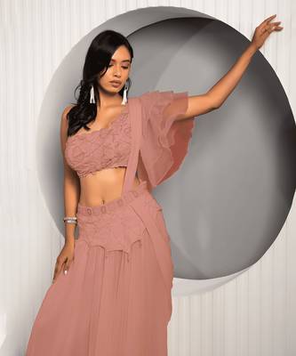 Peach Willow Lehenga Set 2