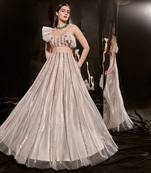 Silver Embroidered Lehenga With Ruffle Blouse