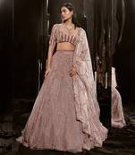 Brown Embroidered Lehenga Set