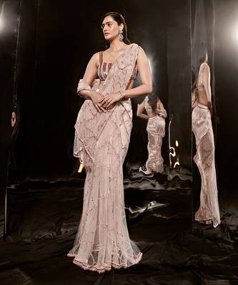 Pinkish Nude Embroidered Saree 2