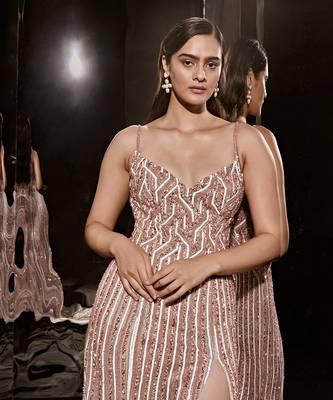 Silver Embroidered Gown With Trail 2