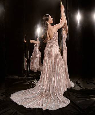 Silver Embroidered Gown With Trail 3
