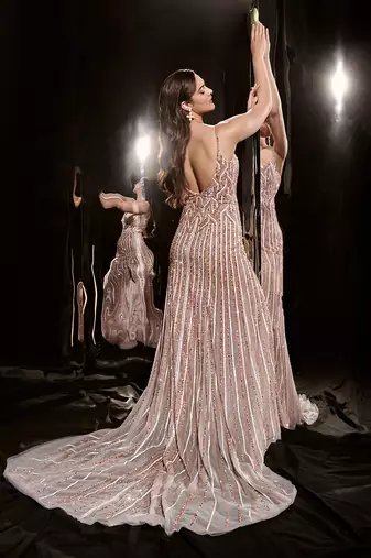 Silver Embroidered Gown With Trail
