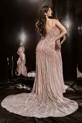 Silver Embroidered Gown With Trail
