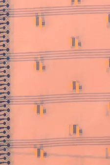 Orange woven cotton saree 
