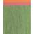 Handspun Cotton Green Handloom Begampuri Saree