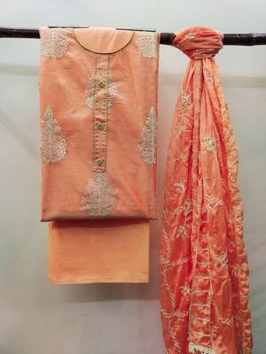 Orange Embroidered Chanderi Salwar 3