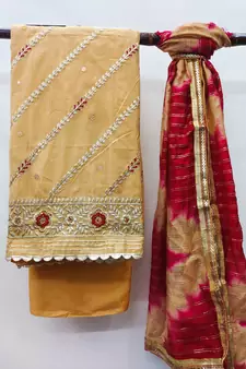 Beige Embroidered Chanderi Salwar
