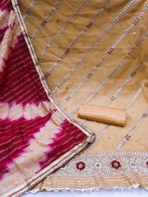 Beige Embroidered Chanderi Salwar 3