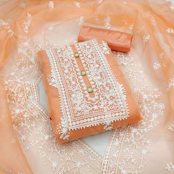 Orange Embroidered Organza Salwar 1