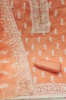 Orange Embroidered Organza Salwar