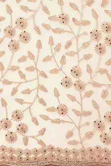Beige Embroidered Net Saree With Blouse