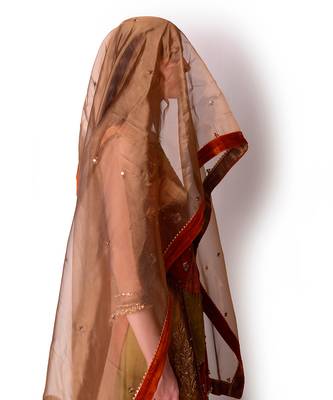 Rust & Olive Tissue Kurta Set 6