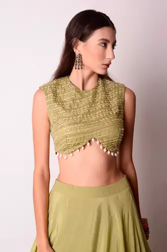Jade Crepe & Organza Lehenga Set