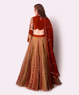 Rust & Gold Tissue Lehenga Set 3