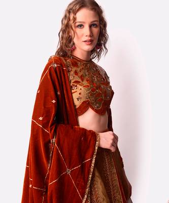 Rust & Gold Tissue Lehenga Set 5