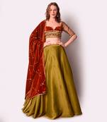 Rust & Olive Tissue Lehenga Set