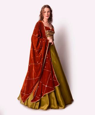 Rust & Olive Tissue Lehenga Set 2