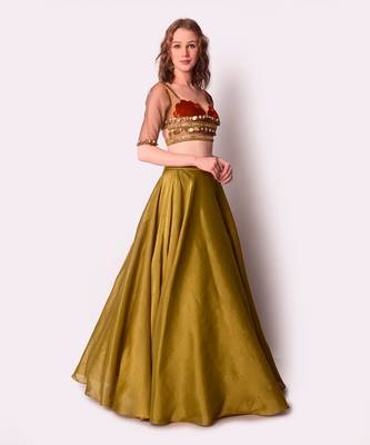 Rust & Olive Tissue Lehenga Set 3