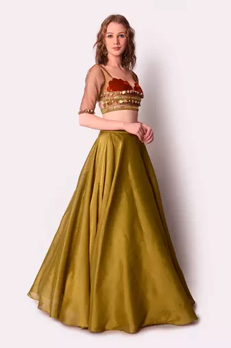 Rust & Olive Tissue Lehenga Set