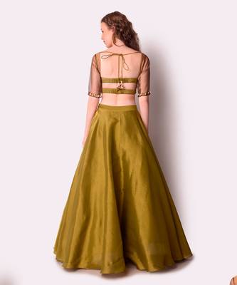 Rust & Olive Tissue Lehenga Set 4