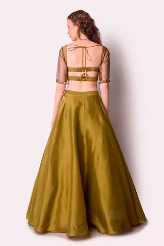 Rust & Olive Tissue Lehenga Set