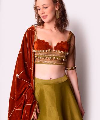 Rust & Olive Tissue Lehenga Set 5