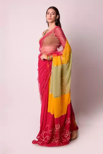 Multicolour Net & Georgette Saree Set