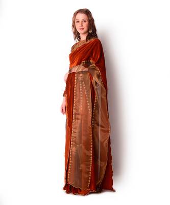 Rust & Gold Tissue Saree Set 2