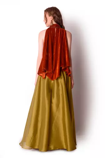 Rust & Olive Tissue Sharara Set