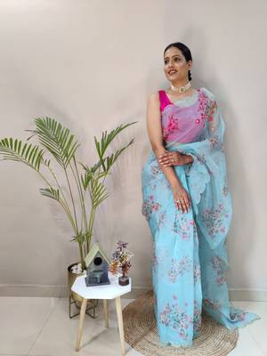 Light Sky Colour Net Embroidery Saree 1