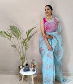 Light Sky Colour Net Embroidery Saree